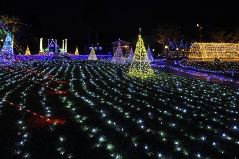 ホテル日航成田 カジュアル・リゾート・ダイニング セリーナ 〒286-0106 千葉県成田市取香500