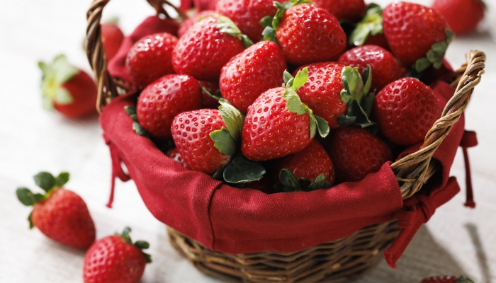 ホテル日航成田　カジュアル・リゾート・ダイニング セリーナ 〒286-0106 千葉県成田市取香500