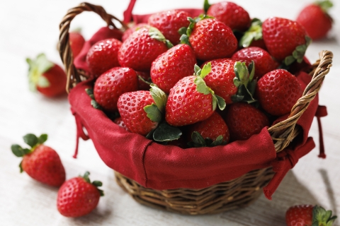 ホテル日航成田　カジュアル・リゾート・ダイニング セリーナ 〒286-0106 千葉県成田市取香500 【2月】いちごｘチョコレートフェアランチバイキング